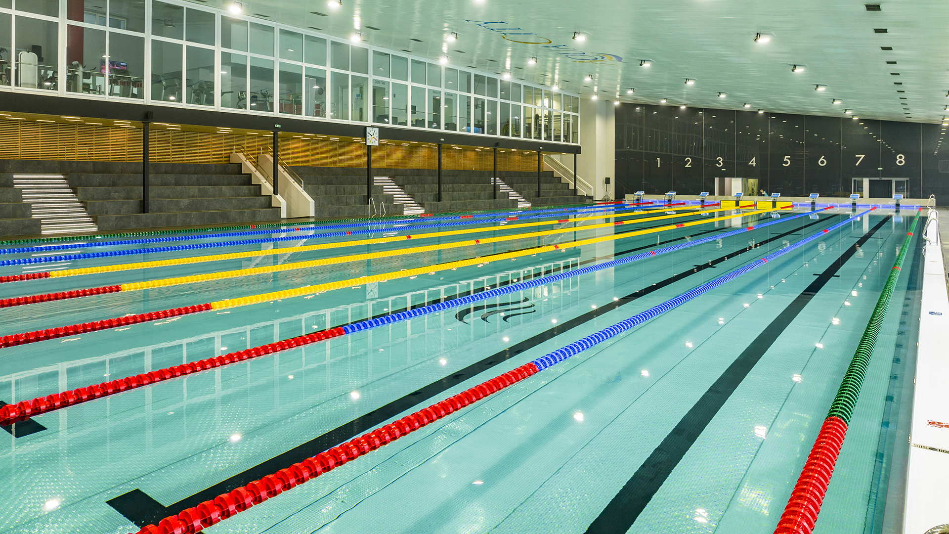 50m swimming pool   